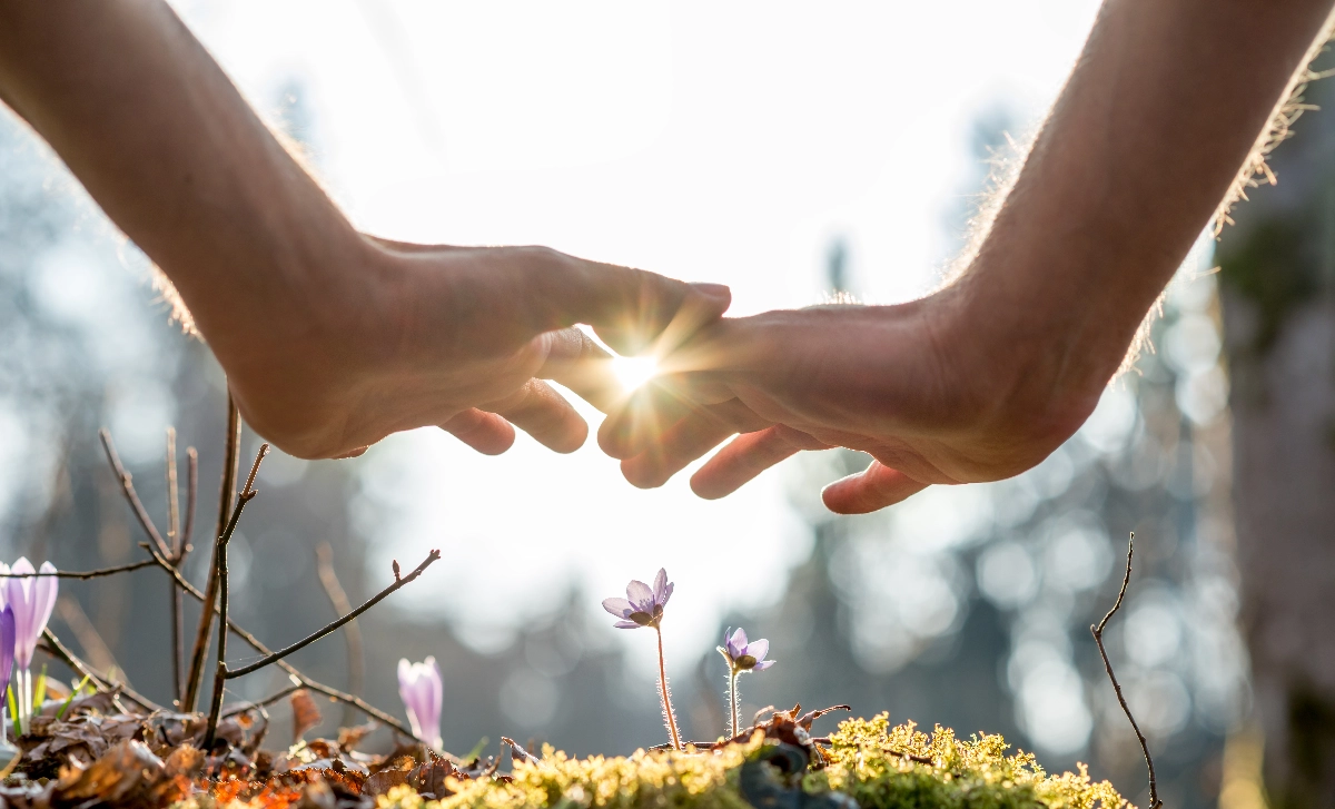 Ace Alternative Healing about our company image - Simple Website, easy website, No Coding Website, Tec-Nut.com Websites, Free Website, New Website, Best Website Builder, Free website template, Company Website, Website Builder, Easy Website, Alternative healer